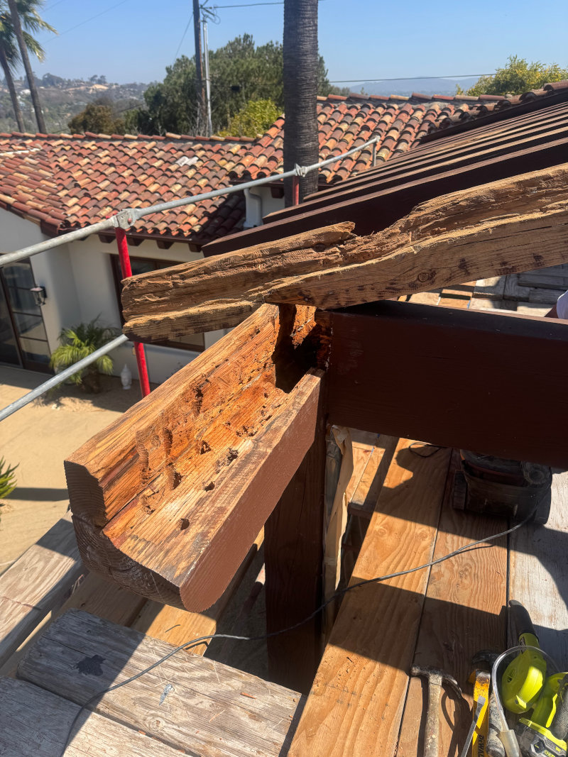 dryrot termites eaten beam before repair